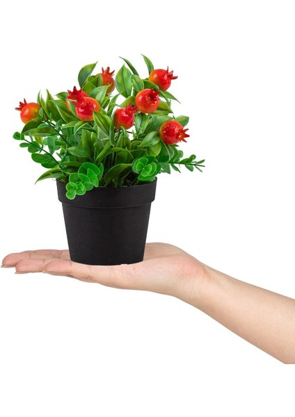 3’lü Set Siyah Mini Plastik Saksıda Yapay Kokina, Aloe Vera ve Nar Çiçeği