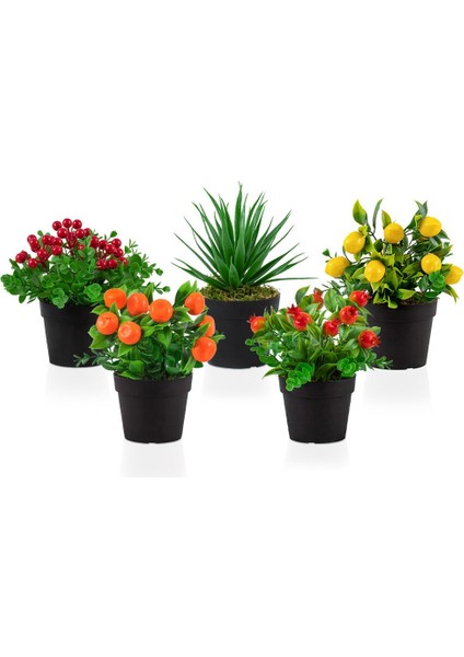 5’li Set Siyah Mini Plastik Saksıda Yapay Kokina, Aloe Vera, Limon, Mandalina ve Nar Çiçeği