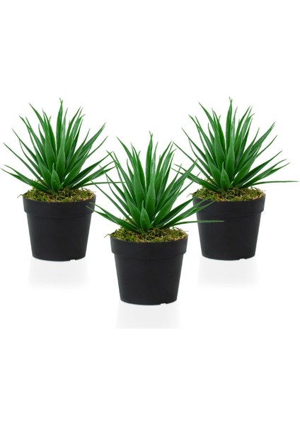3 Adet Siyah Mini Plastik Saksıda Yapay Aloe Vera Çiçeği