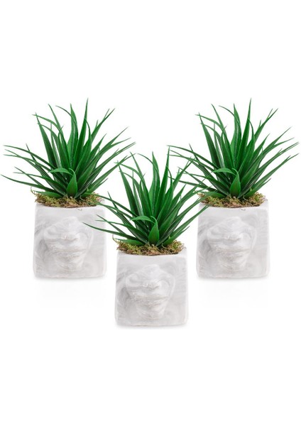 3’lü Set Mermer Görünümlü Siluet Saksıda Yeşil Yapay Aloevera