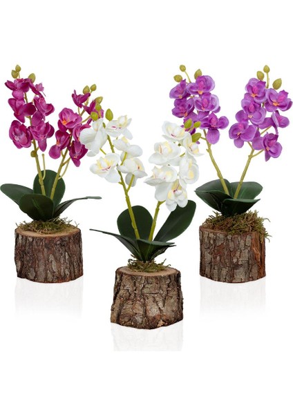 3'lü Set Doğal Kütük Saksıda Yapay Orkide