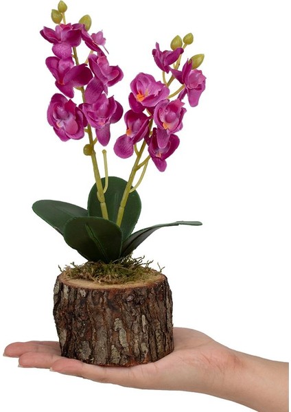 3'lü Set Doğal Kütük Saksıda Yapay Orkide fiyatları