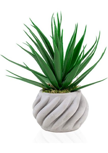 Kıvrımlı Beton Saksıda Yeşil Yapay Kaktüs Aloevera