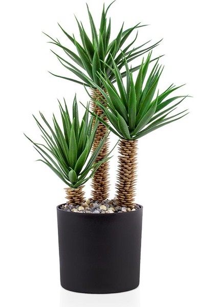 Siyah Saksıda Üç Dal Yapay Kaktüs Aloevera