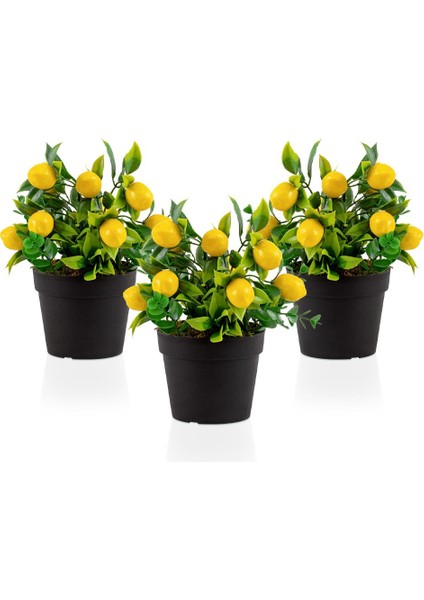 3 Adet Siyah Mini Plastik Saksıda Yapay Limon Çiçeği