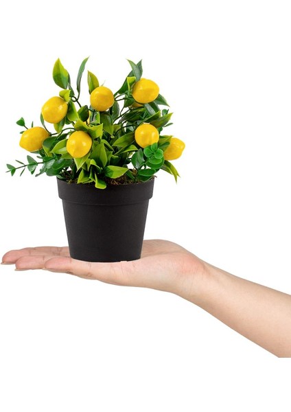 3 Adet Siyah Mini Plastik Saksıda Yapay Limon Çiçeği