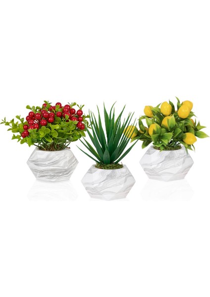 3’lü Set Mermer Görünümlü Saksıda Yapay Bitkiler Limon Aloevera Kokina