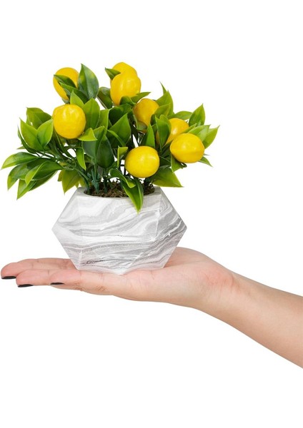 3’lü Set Mermer Görünümlü Saksıda Yapay Bitkiler Limon Aloevera Kokina