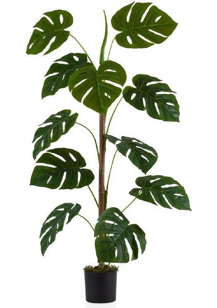 Siyah Saksıda 11 Dal Yapay Monstera Ağacı 105 cm