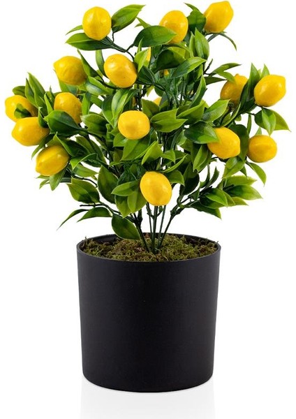 Siyah Saksıda Yapay Limon Demet