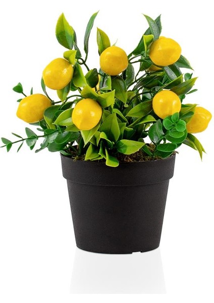 Siyah Mini Plastik Saksıda Yapay Limon Çiçeği modelleri
