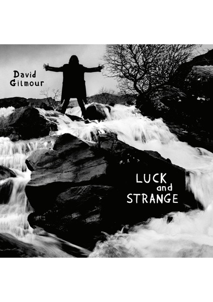 David Gilmour Luck And Strange (Limited Edition - Translucent Sea Blue Vinyl) Plak fiyatları