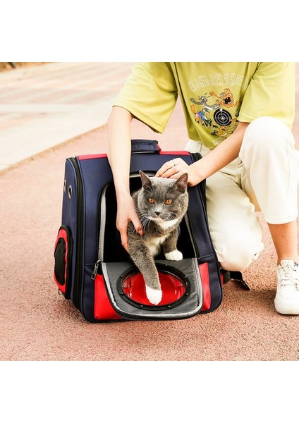 Yeni Kedi Çantası Katlanır Evcil Hayvan Sırt Çantası Gözenekli Nefes Alabilen Evcil Hayvan Çantası Dışarı Taşıma Sırt Çantası Evcil Hayvan Çantası (Yurt Dışından) fırsatları