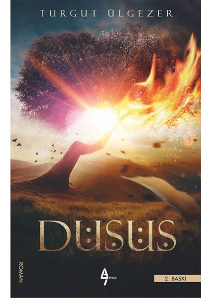 Düşüş - Turgut Ülgezer
