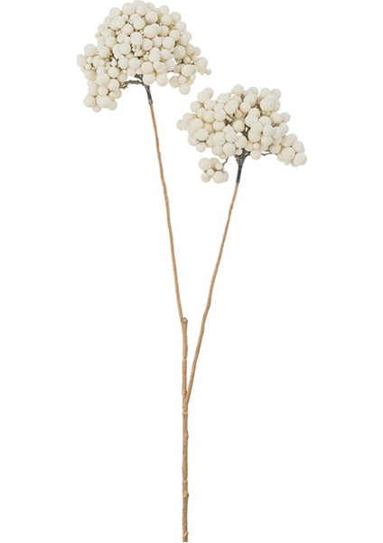 Krem Rengi Berries Dal / 74 cm