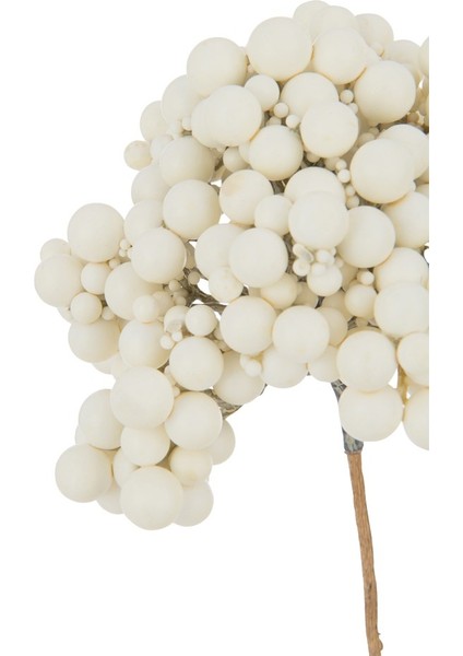 Krem Rengi Berries Dal / 74 cm fiyatları