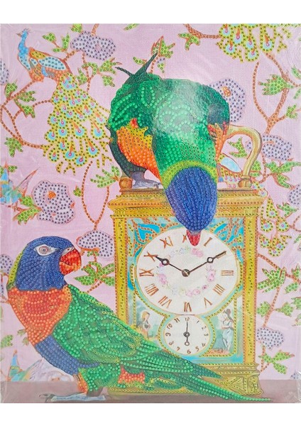 5d Elmas Taş Işleme Kiti 27 x 33 cm Papağanlar Desen