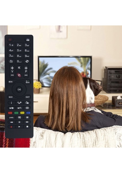 Telefunken Tv RC4875/RC4870 Için Yedek Uzaktan Kumanda Kurulum Gerekmez (Yurt Dışından)