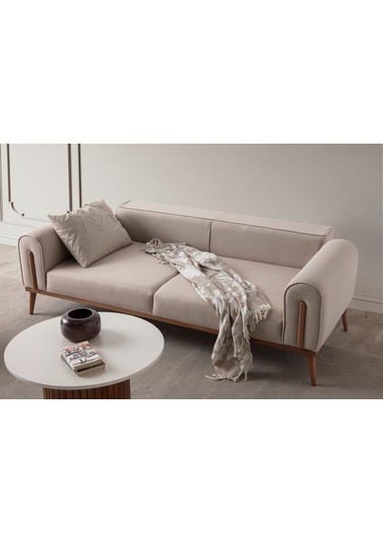 Riva 3'lü Koltuk Modern Tasarım Silinebilir Kumaş Sütlü Kahve 224x90 cm modelleri
