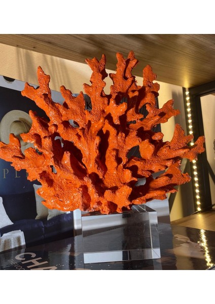 Tekno Trust Kristal Kaideli Mercan Obje