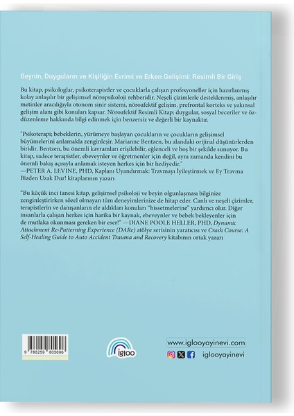 Nöroafektif Resimli Kitap Gelişimsel Nöropsikolojiye Görsellerle Giriş Ücretsiz Kargo fiyatları