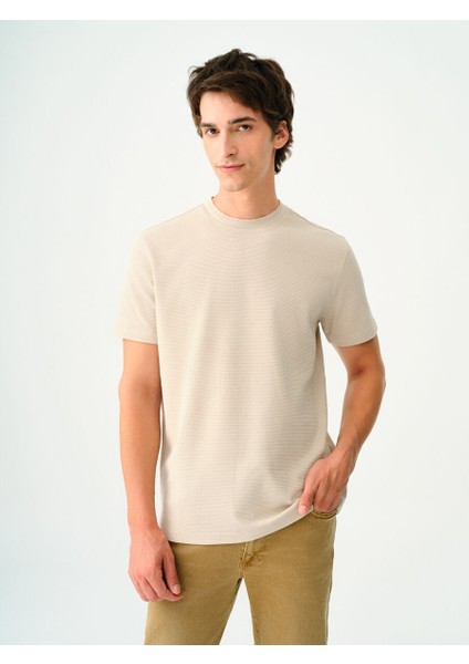 Regular Fit Erkek Tshirt K.kol