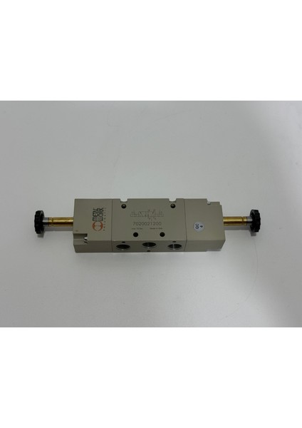 Metal Work Selenoid Valf 7020021200 fiyatları