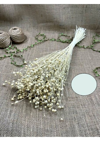 Doğal Keten Otu Bej 31-45 cm Çiçek Buketi Dekorasyon Hediye fiyatları