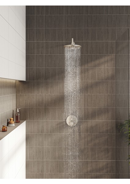 Bliss A4574234 2F Duş Başlığı, Fırçalı Nikel modelleri