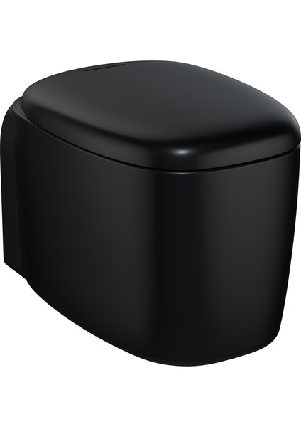 Plural 7830B483-0090 Rim-ex Asma Klozet, 55 cm, Mat Siyah