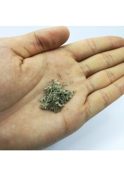 Renkli Kurutulmuş Çalılık Mini Demet, doğal ve canlı bitki tasarımı