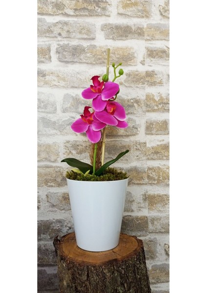 Tekno Trust Orkide Yapay Çiçek 1 Adet 38 Cm Fuşya Orkide Çiçeği Yapay Bitki Ağaç Saksıda Yapay Çiçek