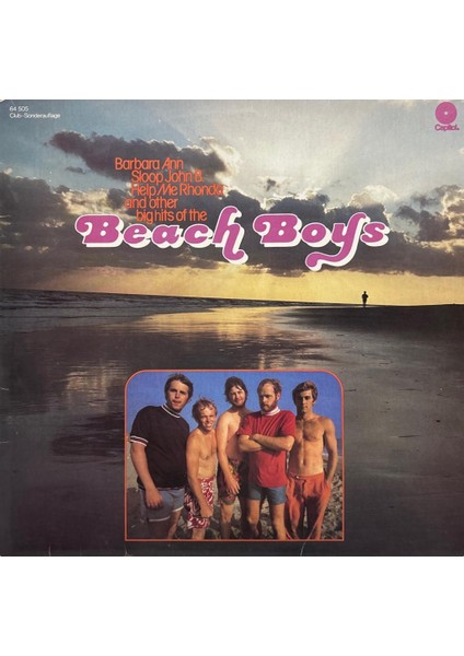 The Beach Boys – Beach Boys Lp (Plak)