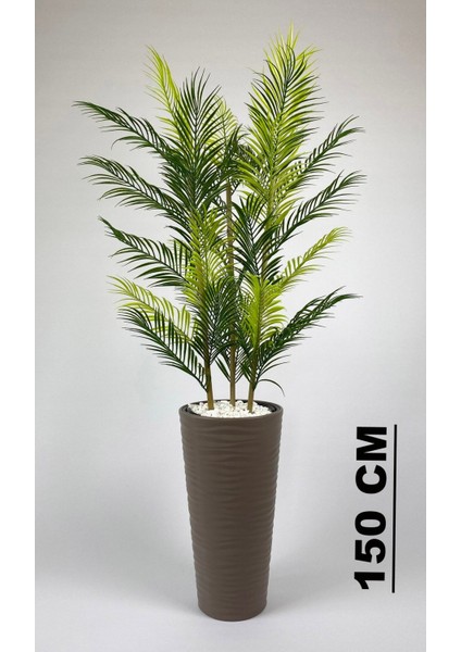 Yapay Areka Ağacı ve Bambu Gövdeli Salon Çiçeği, Bej, 150cm, Saksı, Beyaz