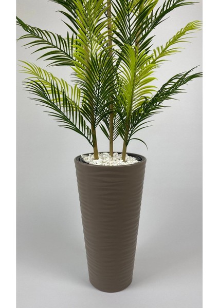 Yapay Areka Ağacı ve Bambu Gövdeli Salon Çiçeği, Bej, 150cm, Saksı, Beyaz