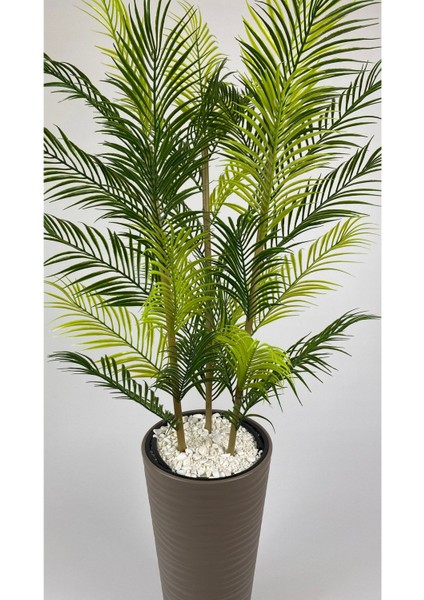 Yapay Areka Ağacı ve Bambu Gövdeli Salon Çiçeği, Bej, 150cm, Saksı, Beyaz