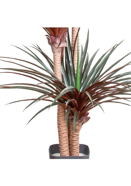 Tekno Trust Yapay Avize Çiçeği Bitkisi (Yucca Ağacı) 200 Yapraklı Yeşil-Bordo 170 Cm.