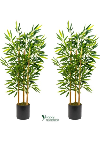 2 Adet Gri Saksıda Çim Detaylı Yapay Benjamin ve Bambu Ağacı, Yeşil, 101-125 cm