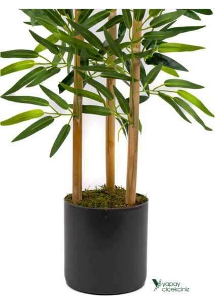 2 Adet Gri Saksıda Çim Detaylı Yapay Benjamin ve Bambu Ağacı, Yeşil, 101-125 cm fırsatları