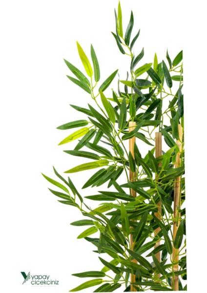 2 Adet Gri Saksıda Çim Detaylı Yapay Benjamin ve Bambu Ağacı, Yeşil, 101-125 cm indirimleri