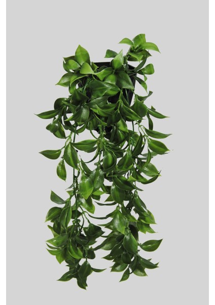 Tekno Trust Yapay Çiçek Elmas Saksı Içerisinde Yoğun Dallı 40 Cm Limon Yaprağı Sarkıtı