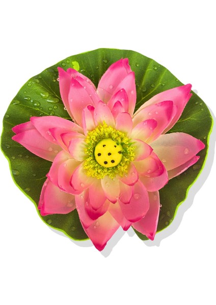 Renkli Pembe Su Nilüferi 17 cm, Çiçek Demeti, Yükseklik 11-30 cm
