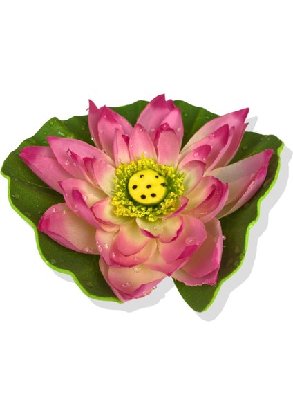 Renkli Pembe Su Nilüferi 17 cm, Çiçek Demeti, Yükseklik 11-30 cm