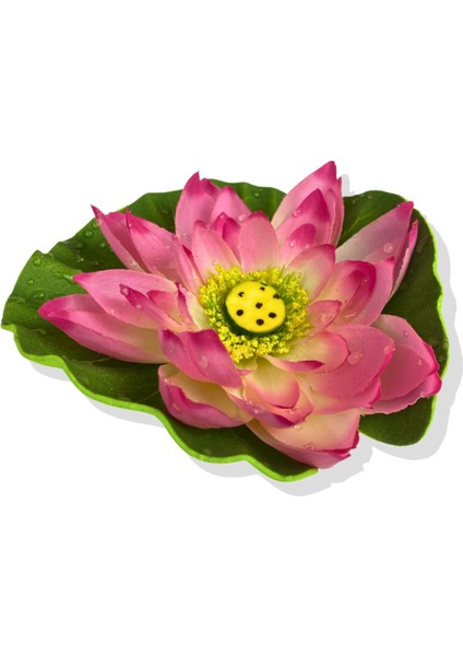 Renkli Pembe Su Nilüferi 17 cm, Çiçek Demeti, Yükseklik 11-30 cm
