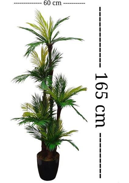 Yapay Palmiye Ağacı, Siyah, 151-200 cm, Ofis ve Ev Dekoru