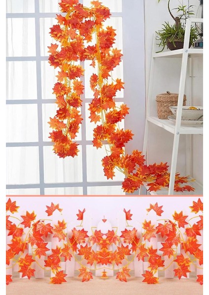 Çok Renkli Sonbahar Sarmaşık Seti, Doğal ve Canlı Görünüm