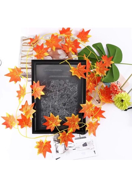 Çok Renkli Sonbahar Sarmaşık Seti, Doğal ve Canlı Görünüm modelleri