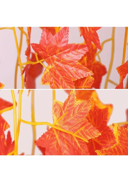 Çok Renkli Sonbahar Sarmaşık Seti, Doğal ve Canlı Görünüm fırsatları