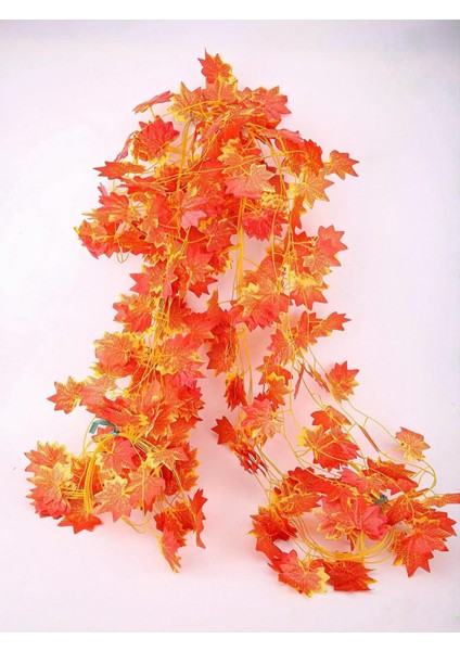 Çok Renkli Sonbahar Sarmaşık Seti, Doğal ve Canlı Görünüm indirimleri