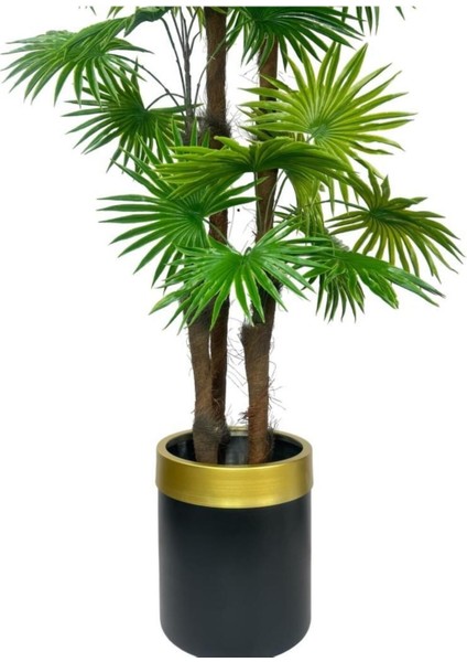 Tekno Trust Yapay Ağaç Yelpaze Palmiye 4katlı Fanpalm 32 Yaprak Altın Kemerli Siyah Saksıda 170*65cm